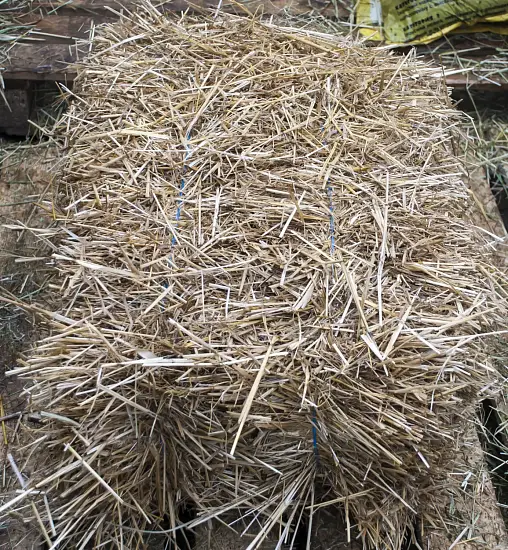 Солома золотистая, тюк