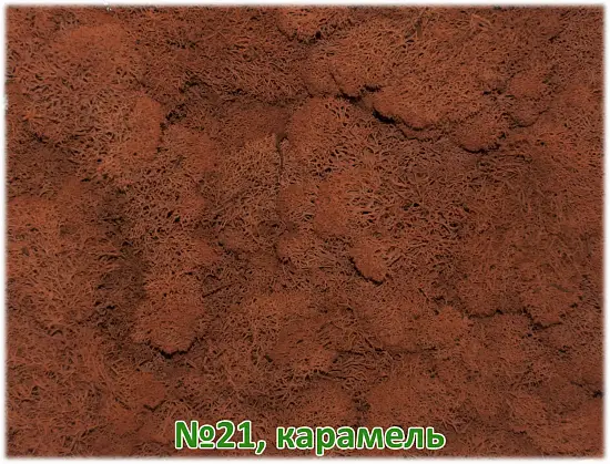 Мох стабилизированный №1 зеленая ель, 30*40 см, пак