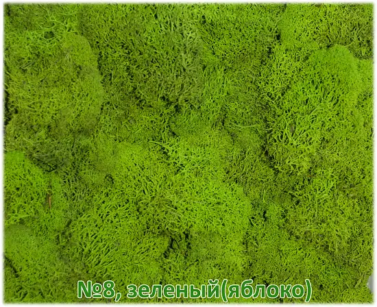 Мох стабилизированный №1 зеленая ель, 30*40 см, пак