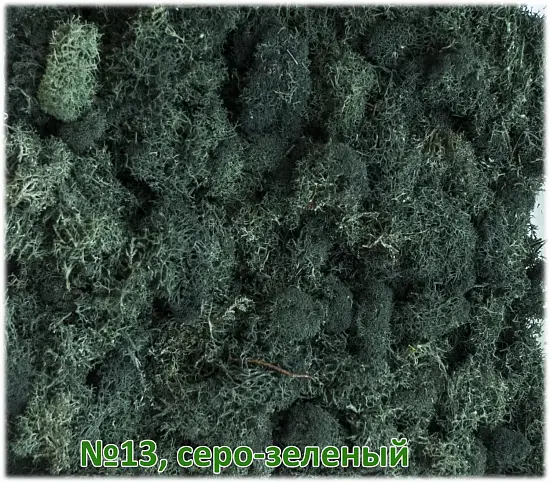 Мох стабилизированный №1 зеленая ель, 30*40 см, пак