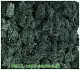 Мох стабилизированный №1 зеленая ель, 30*40 см, пак