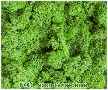 Мох стабилизированный №1 зеленая ель, 30*40 см, пак