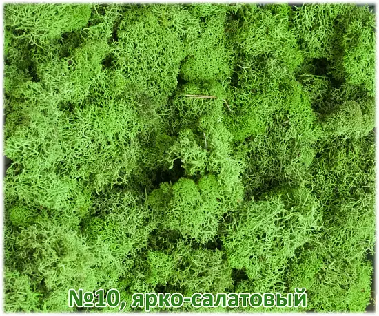 Мох стабилизированный №1 зеленая ель, 30*40 см, пак