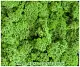 Мох стабилизированный №1 зеленая ель, 30*40 см, пак