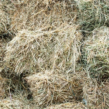 Сено луговое, тюк