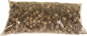 Шишки сосновые мелкие (600-800 шт), 60 л
