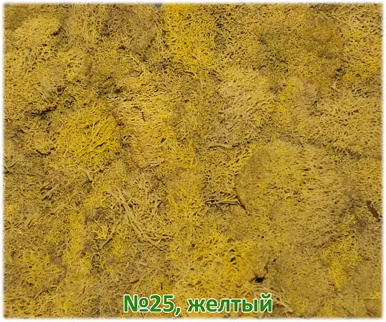 Мох стабилизированный №1 зеленая ель, 30*40 см, пак