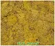 Мох стабилизированный №1 зеленая ель, 30*40 см, пак