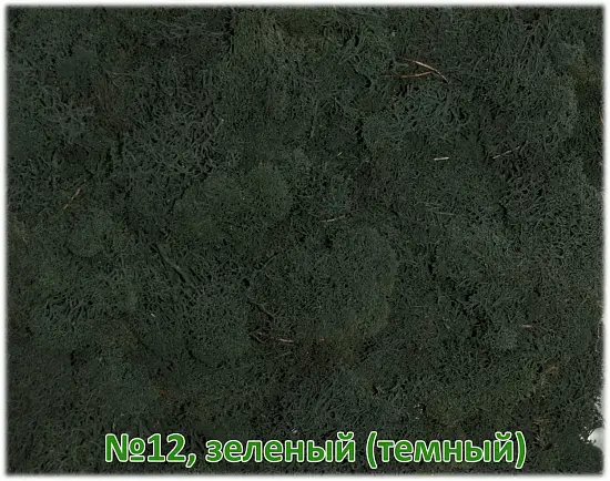 Мох стабилизированный №1 зеленая ель, 30*40 см, пак