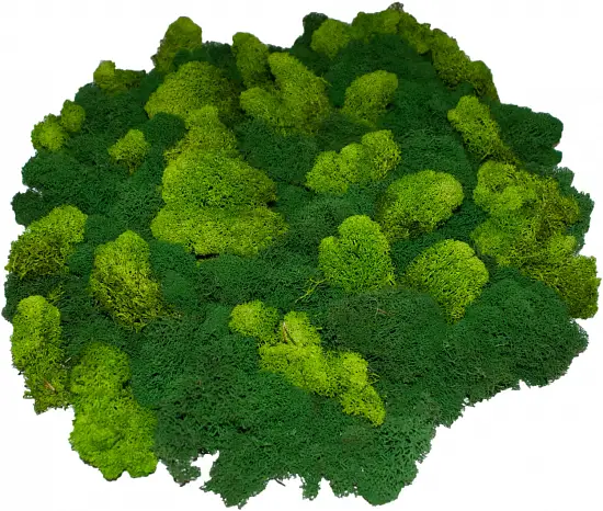 Мох стабилизированный №1 зеленая ель, 30*40 см, пак