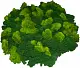 Мох стабилизированный №1 зеленая ель, 30*40 см, пак