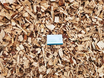 Щепа натуральная, хвойных пород, 60 л