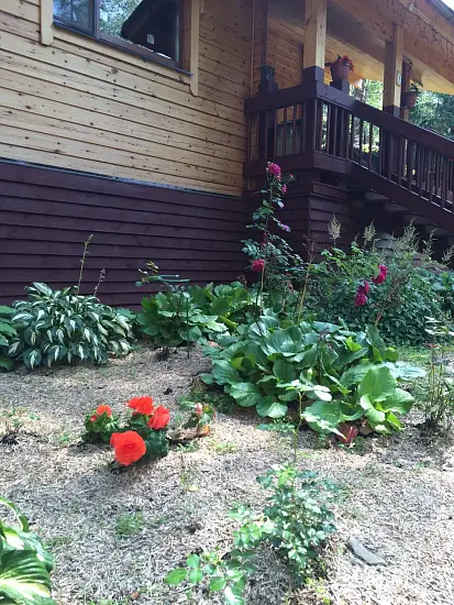 Костра конопляная, мелкая 0-3 см, малый брикет 40 л