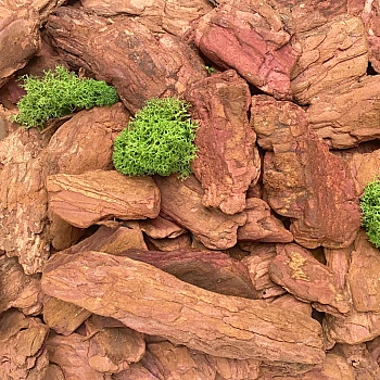 Кора лиственницы Галтованная 4-10 см, 60 л