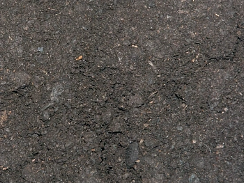 Торф низинный, 50-60 л