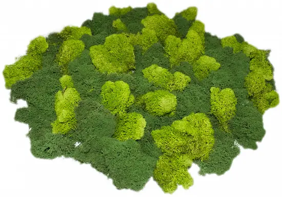 Мох стабилизированный №1 зеленая ель, 30*40 см, пак