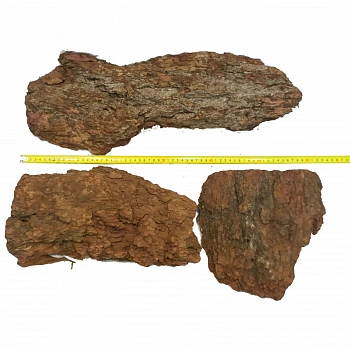 Кора лиственницы Крупная поштучно, кг