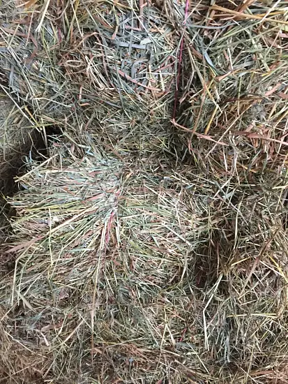 Сено луговое, тюк