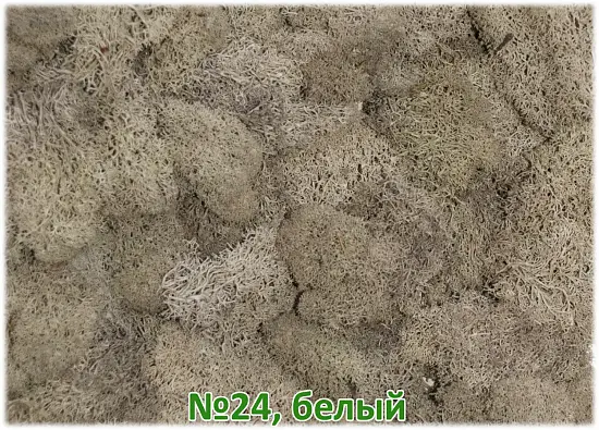 Мох стабилизированный №1 зеленая ель, 30*40 см, пак