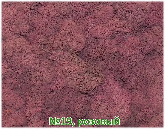 Мох стабилизированный №1 зеленая ель, 30*40 см, пак