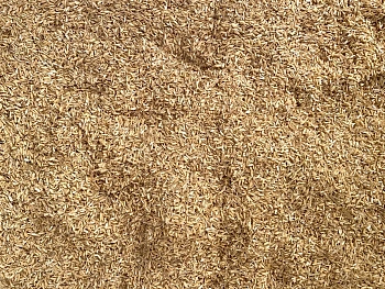 Шелуха рисовая, 60 л (9-10 кг)