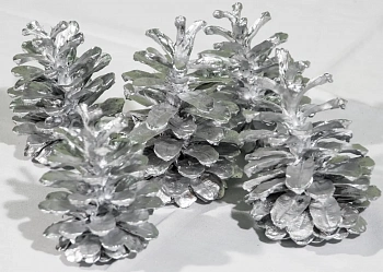 Шишка сосновая крупная поштучно, шт