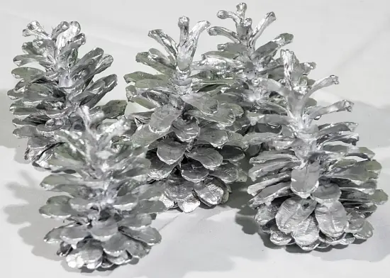 Шишка сосновая крупная поштучно, шт