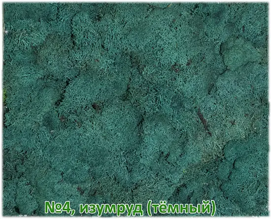 Мох стабилизированный №1 зеленая ель, 30*40 см, пак