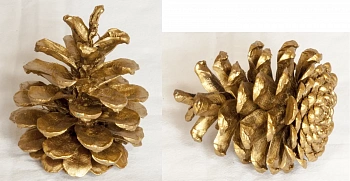 Шишка сосновая крупная поштучно, шт