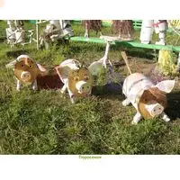 Место для садовой фигуры в ландшафтном дизайне