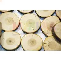 Для поделок и украшения интерьера - плотные и прочные спилы черемухи