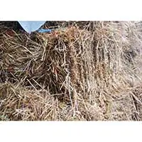Золотистая солома в тюках для дачников и садоводов
