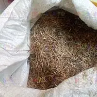 Мульча из льняной костры отлично удерживает влагу и тепло