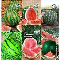Теперь в нашем магазине вы сможете купить семена арбуза
