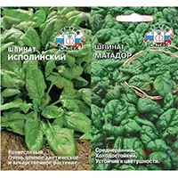 Шпинат, полезный и питательный