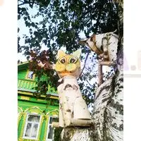 Ученый кот может поселиться в вашем саду