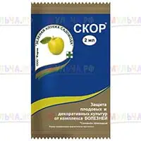 Скор — фунгицид для лечения и предупреждения заболеваний культурных растений