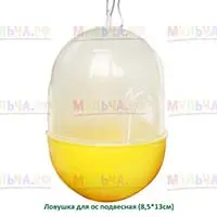 Простая, но эффективная ловушка для ос