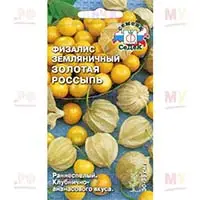 Физалис - неприхотливое и полезное растение