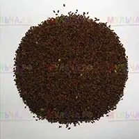 Фацелия - один из лучших сидератов