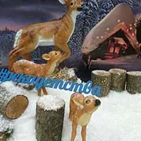 Мульча РФ и фонд Река Детства на ярмарке Душевный Bazar