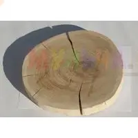 Спил дуба: особенности изготовления и применения