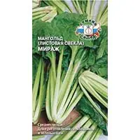 Мангольд - целебная листовая свекла