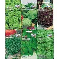 Семена салата для ценителей здорового питания