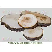 Шлифованные спилы черемухи для ландшафтного дизайна и украшения интерьера