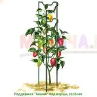 Металлическая опора повысит урожайность перцев