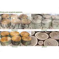 В продаже появились березовые, осиновые и ольховые спилы