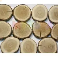 Шлифованные спилы дуба с красивой текстурой