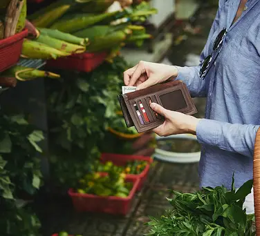 Какая лампа нужна для рассады: виды и критерии выбора 5