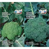 Капуста брокколи, неприхотливая и очень полезная